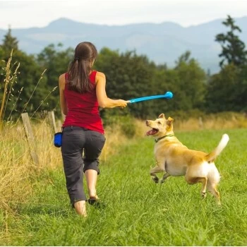 Chuckit! ChuckIt ! Ballwerfer 45 Cm 4 Chuckit! ChuckIt ! Ballwerfer 45 Cm – Bild 2