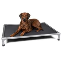 TrendPet HighBed Hochbett Für Hunde Grau M -Zoofachgeschäft 806c9151a30c8768dca1db3b613750e05f9a4162 1398000 de DE eccf46af10cedb35cd08bd74c647de0fa5efa511wPNHSV