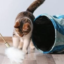 Kater Kasimir Premium Paket Mit 7 Beliebten Katzenspielzeugen Aus Naturmaterial -Zoofachgeschäft 84f221d79ef76f1b4f2f0037d329c11c6fce3a33 1408152 de DE 294269527f07b1898ca7562c986e956043828d3cA8xBpO