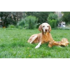 Irish Pure Giant Beef Bone -Zoofachgeschäft 86b097faf9a0196246935fbf5ce74d2766656c5a 1288899 de DE 690203a5b936f847408528d712bec5c6f6352a69nUjHKg