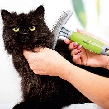 Moser Unterwollrechen 4 Moser Unterwollrechen – Bild 2