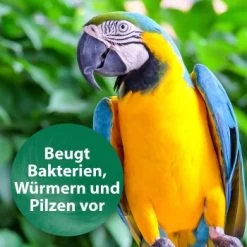 Quiko Med V Liquid 100 Ml: Mit Hochwertigem Oregano-Öl Für Ziervögel -Zoofachgeschäft 88a4d869da906e8aaa1074413d2b5765c37fe51c 1387820 de DE 18f5cb5cc5b0a1074c44f20b530fefedca292a50auwynr