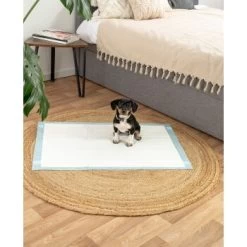 Lionto Welpenunterlage 6-lagig L -Zoofachgeschäft 8a5b5953a3968e536e96cc2235b0c1d087cc491b 1665927 de DE ba7766f55e4d16dc50b39c40482143d99d109bf0tbEuhC