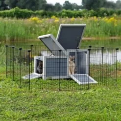 Lionto DIY-Kleintiergehege -Zoofachgeschäft 8ce511e37d3b765fa8615119e80e9c8728c27359 1657947 de DE 1389ad110191a675b16fc523e3bf63c805e91b97e3kGpz