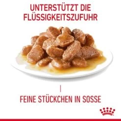 ROYAL CANIN Appetite Control Care 12 X 85 G -Zoofachgeschäft 8d19152b31ba86d816380d2dce486d5bb7f85f3b 1344684 2