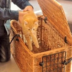 Aumüller Katzenhöhle Eckig 11 Aumüller Katzenhöhle Eckig -Zoofachgeschäft 8d87b362ac9438a292739b68c12353b34ae9f49f 1d1df7833ded5af56aedf174929409f94e84fa5b