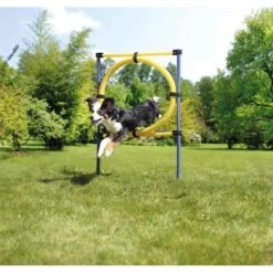 AniOne Agility Set -Zoofachgeschäft 8dd2c346cfba9b57b3f14270694b3f975d0558fa 8ae19109d8863c833405d8d5b2e72b4315e858f5