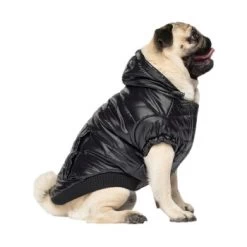 Canada Pooch Glänzende Pufferweste XXS -Zoofachgeschäft 8ec11177ec9f86d200ff22bc3e0c234ecff91e7e dfb5b396c833a1ace7625fc5796632bee13eda68