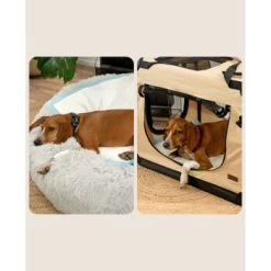 Lionto Welpenunterlage 6-lagig L -Zoofachgeschäft 8f14592f6d058f0fb4fc5be2eb6798f229ed3383 1665927 de DE d5d55018ac189c4f0ee0cfe3cc801e9b0b08c612l1cJJF