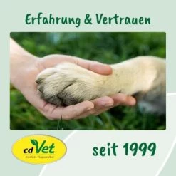 CdVet Ohrenpflege 20ml -Zoofachgeschäft 91ea9619f0a6a9470d4078716478f9946127aa43 1033310 de DE 9de31ae422c889f65e12a1085ee6ba81b11de6a3JFtiHC