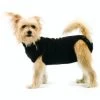 Trovet Hundebody Recovery Suit Schwarz XXS -Zoofachgeschäft 92d14012c332f0a5a46b2a7887d2e493de373061 bbc558c1bdf8e1bee3228f5e0e39819075b810aa