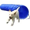 Dobar Agility Tunnel, 60 X 500 Cm 1 Dobar Agility Tunnel, 60 X 500 Cm -Zoofachgeschäft 9317891c8c26e1a60f69c909139b6f64f81acffc a9b8aeeca69e52c8a2789d216e0e38b4afddf736
