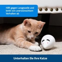 PetSafe Automatisches Katzenspielzeug RoloRat -Zoofachgeschäft 97df3eec34472f4ac76f2a0bbe4e75fdbbe02b64 1351522 de DE 83c2d308e962c4b6c64101ee39311b3a61647f71n2yR1C