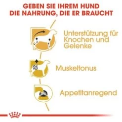ROYAL CANIN Dachshund Adult Mousse 12x85g 13 ROYAL CANIN Dachshund Adult Mousse 12x85g -Zoofachgeschäft 982fa56de23080eda60824de668a90bb86526e42 2f665959d4c475e51ab5a55b633f70a2346bb169