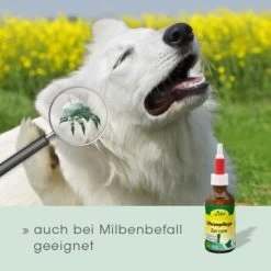 CdVet Ohrenpflege 50ml -Zoofachgeschäft 996bc55aca7303d71af6872442ff47b85087fa20 1322257 de DE 913b3fb28cb4c7cbb549b216ae11f3b04ff5ee25VNtsyN