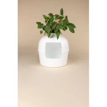 RHR Quality Katzentoilette Flower XXL 7 RHR Quality Katzentoilette Flower XXL – Bild 5