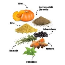 Eat Small EatSmall 12x 400g Nassfutter Wald -Zoofachgeschäft 9aac8c9947c811614e33cd8eff64475ba31de0bc 1480173 de DE 14f419f82fdd97b5787fae56c3d39024e10a9a84yrZfbt