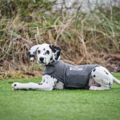 Thundershirt Beruhigungsweste Grau XS 19 Thundershirt Beruhigungsweste Grau XS -Zoofachgeschäft 9b6b99fb9c0e02a64cc609b7ca852c71d17d0d84 1102942 2