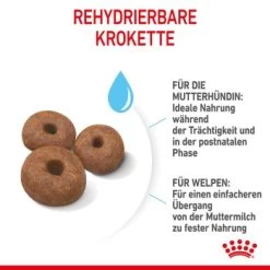 ROYAL CANIN Giant Starter 15kg -Zoofachgeschäft 9bdc03bdb1381936f98533e63f927e8c42e86435 3182550778831 6