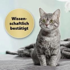 Felisept Home Comfort Set Diffusor + Flakon 45ml -Zoofachgeschäft 9c015fbf97e9da0b9557db7ed4b82ab2943cb9e3 1667495 3