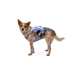 Ruffwear Swamp Cooler™ Geschirr Violett L-XL -Zoofachgeschäft 9c08d51037e9b6fa0de383af1dac2a8b98ac18a2 1651453 de DE 203c7bccc1793230d4ae6303c0a319bf98044f95DOp5lO