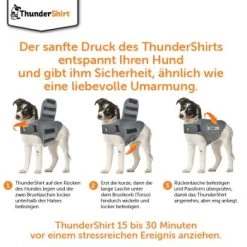Thundershirt Beruhigungsweste Grau XS 17 Thundershirt Beruhigungsweste Grau XS -Zoofachgeschäft 9ff088bccc5f7d02926fc2c1845a1030d5e07bc3 1102942 5