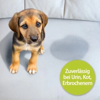 Bactador Geruchs- Und Fleckenentferner Konzentrat 1 L 4 Bactador Geruchs- Und Fleckenentferner Konzentrat 1 L – Bild 2