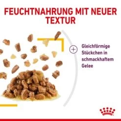 ROYAL CANIN SENSORY Taste In Gelee Für Wählerische Katzen 12x85g -Zoofachgeschäft a0a9a743b6a6722f849df958bc9024e93eba856b e74a0546ac96b90fff45a5cac73c2ea520ddf555