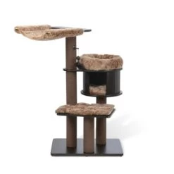 MORE Kratzbaum George -Zoofachgeschäft a159d2e2163882e1265ed6aa49ede2453a381e6d de94c492d7d58c4ec00f4bfb2df8788874e017b9