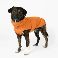 THE DOG IDEA Regenmantel Duke Orange XXXS -Zoofachgeschäft a1af009970fbe0d49b23b55aae3478442e9eb5e6 1473000 de DE e975935bd14ae10e3cbf4709cc9d05a6879844e2TUSiIw