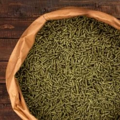 Knabbermann Carangas Meerschweinchenfutter 5 Kg -Zoofachgeschäft a2e9cfd2264a4440e350760ec4221a6690c6de11 1428488 de DE 94a0405cce40204948fd074580f5b244e504aac3WMbRWS