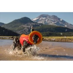 Ruffwear Hydro Plane™ Spielzeug M Orange 11 Ruffwear Hydro Plane™ Spielzeug M Orange -Zoofachgeschäft a3976cd8510df92d7b86f42c35fd984bc0313421 1364300 de DE 7e1ea9adae25d55e79a8aed2cc6dc797ac8d0d03R1qvUL