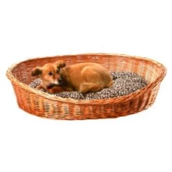 Aumüller Hundekorb Hellbraun 70 Cm -Zoofachgeschäft a42c1c034a74b786550cd91b6fb656788c7bd395 1841f8954e0f064f749f4bbad0ba7b1257285573
