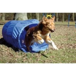 Dobar Agility Tunnel, 60 X 500 Cm 8 Dobar Agility Tunnel, 60 X 500 Cm -Zoofachgeschäft a70db425a55e65c0dd33cb4658677f3cead28e72 3dc1d9596c73e287c8ea8bc83f8445abe7adc92a