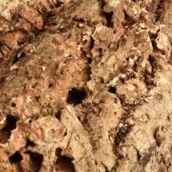 HappyBird Kork Sitzbrett XL -Zoofachgeschäft a774c45f38b43354bd86d7a04e9ad16d0eaf1a6c 1416847 de DE 4d26871b626013948e4cb08465e286887bfaaa137dh8BQ