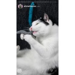 Kater Kasimir Premium Paket Mit 7 Beliebten Katzenspielzeugen Aus Naturmaterial -Zoofachgeschäft a8d63102b5d85ff6bd190320cd050bd7abfcc3ad 1408152 de DE 1fc0cc3c919dcaaf28a0e442859a52c0a2aaef43aLT5KO