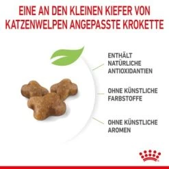 ROYAL CANIN Kitten 4 Kg -Zoofachgeschäft a8df74b6725246cc1c5fa7ed87e8fdc0a4cfc24f 3182550702973 6