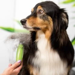 Moser Unterwollrechen 7 Moser Unterwollrechen -Zoofachgeschäft a9457afef8cc9854b1cc05428060e6aca1aa62d7 f209ef3f70da272484eca7394d5156f09925de7d