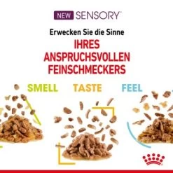ROYAL CANIN SENSORY Smell Taste Feel Multipack In Soße 12x85g -Zoofachgeschäft a9a771645f2a1a144deeeb087d684c4ad698eaa7 88dd5e1dde5216e725cdcdf2d5af0e877950757b
