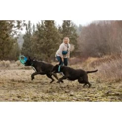 Ruffwear Pacific Ring™ Spielzeug Blau/ Türkis -Zoofachgeschäft aaae4ecd59db92ffe25787fd56b7315d42974ecb 1444351 de DE f747ae339bc2beff156a317c539c1237b854177bd9ZZMN
