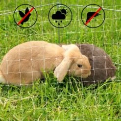 Lionto Katzennetz Inkl. Befestigung -Zoofachgeschäft ad1b651d8bcc461ab7a5d32a4c77b44e521cf768 1665913 de DE 7c500006d9abf3223e26fa8841d70bed2db024adIv4nbt