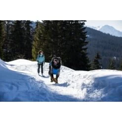 Ruffwear Powder Hound™ Hundejacke Blau M -Zoofachgeschäft ad48c7824c4fa56ab99bf99fe279a07bb74f6278 1639789 de DE 5260aa3c176a0e9de27498c6464d58bee4c79182MEN6wd