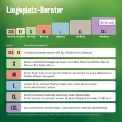 MORE Höhle Diamond 18 MORE Höhle Diamond -Zoofachgeschäft ad75a0162b42d9b877cedb9ca490be6b4425c410 8141b7ba27097880042ff0cf3594870e95da8f5e