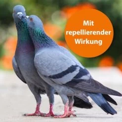 Ardap Spot-On Für Ziervögel & Brieftauben 10 Ardap Spot-On Für Ziervögel & Brieftauben -Zoofachgeschäft ae58a2b8111f99b0d5f141011cb4d5292b63d3c9 1227326 de DE 177446f52341c8e701898dbab4eaebf3cf8dbc70uMQM7k