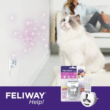Feliway Help! 7 Tage Start-Set Zur Vorbeugung Von Stress 8 Feliway Help! 7 Tage Start-Set Zur Vorbeugung Von Stress – Bild 6