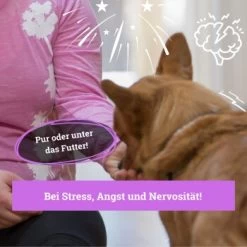 BeG Buddy Beruhigungsmittel Anti Stress 11 BeG Buddy Beruhigungsmittel Anti Stress -Zoofachgeschäft b103d91cb68ed72492e1a80be5084c66da746197 1457250 de DE 08609e0fa51d07263b2814ccdd31d9130bc0e999N5hPoA