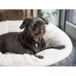 TrendPet LunaBed Hundebett Beige S -Zoofachgeschäft b212c247b049ca8bfe06f13412a12f4f8872bd34 1343729 de DE 09debbd0142a0d2cb20a6392f9d425901b9f7709LSeqTd