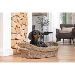 AniOne Korbbett S -Zoofachgeschäft b27e51a850e4aa304f38835cc0b11c9362a5f503 1372191 de DE AniOne Bett 3