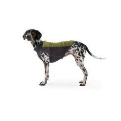 Ruffwear Climate Changer™ Fleece-Pullover Für Hunde Rot S -Zoofachgeschäft b28669818d8fcb81e0661ed639732808849f280a 1369661 de DE 64aaf340211e6364e47cd57e7a205b9b6074a78fHTZZhE