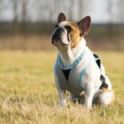 Trovet Suitical Kühlweste Dry Cool M -Zoofachgeschäft b32e0654ab987d26790de796cf13d2e54cbed73f 1321386 de DE Trovet suitical 6 Kopie